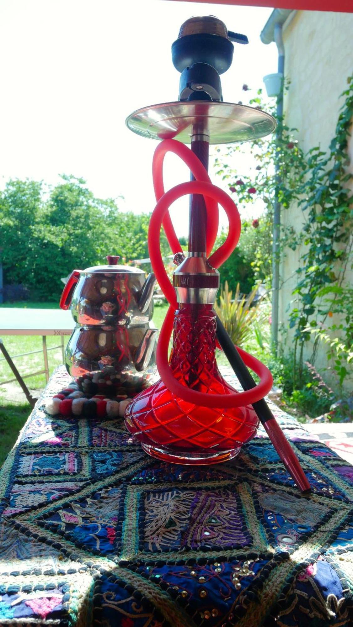 Les Jardins D'Ispahan Prignac-et-Marcamps エクステリア 写真